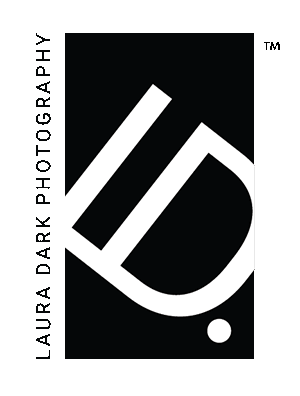 Website Preloader